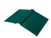  LHS 2 RAL 6005