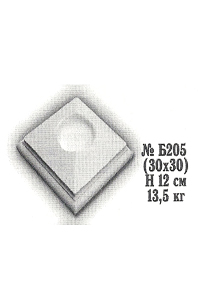    (30*30) 205